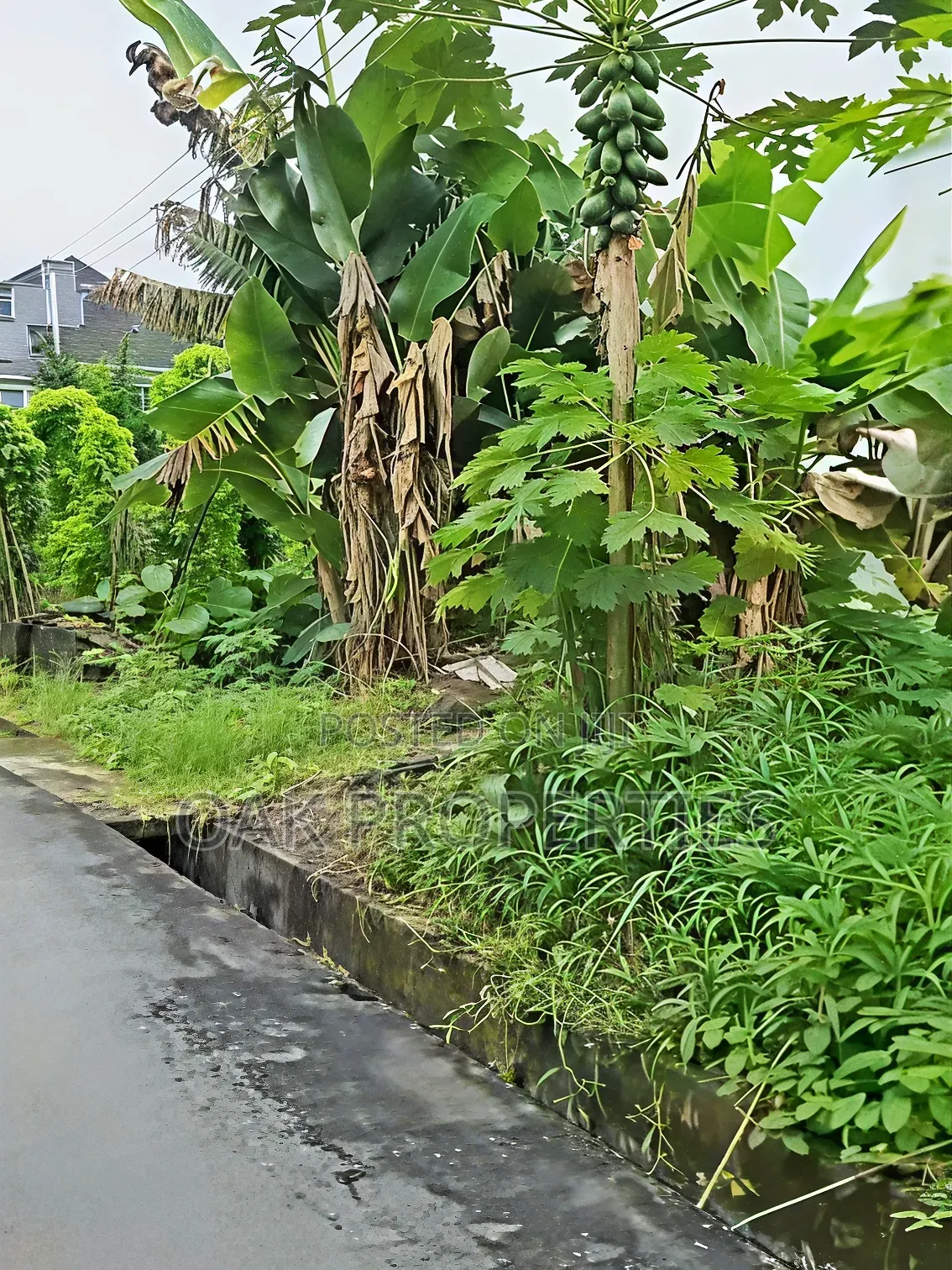 Cornerpiece 535sqm Land in an Estate With Tarred Road at Rukpakulusi in Obio-Akpor