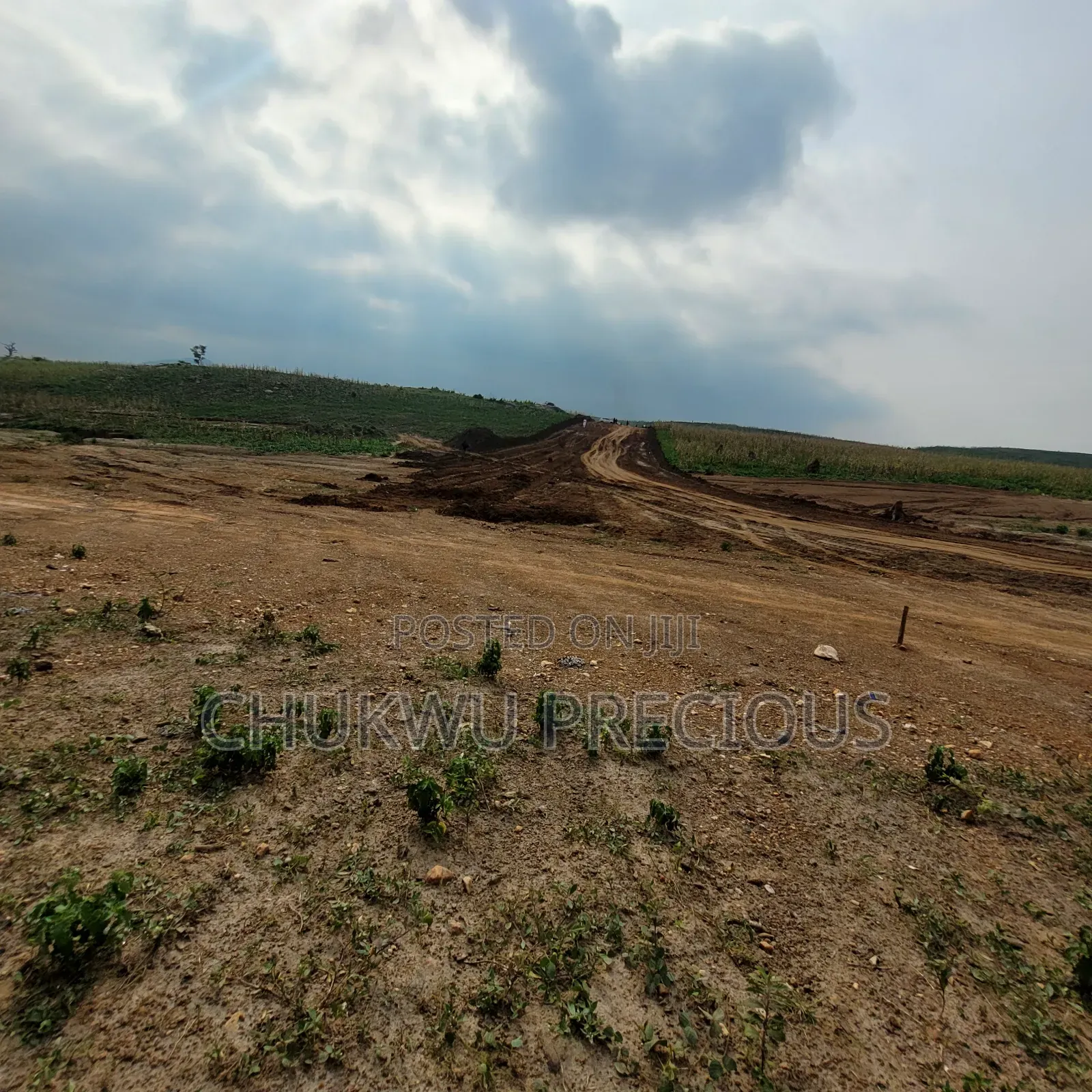 500SQM | Panorama Hills | Apo | 4 Bedroom Fully Detached Duplex in Apo Resettlement