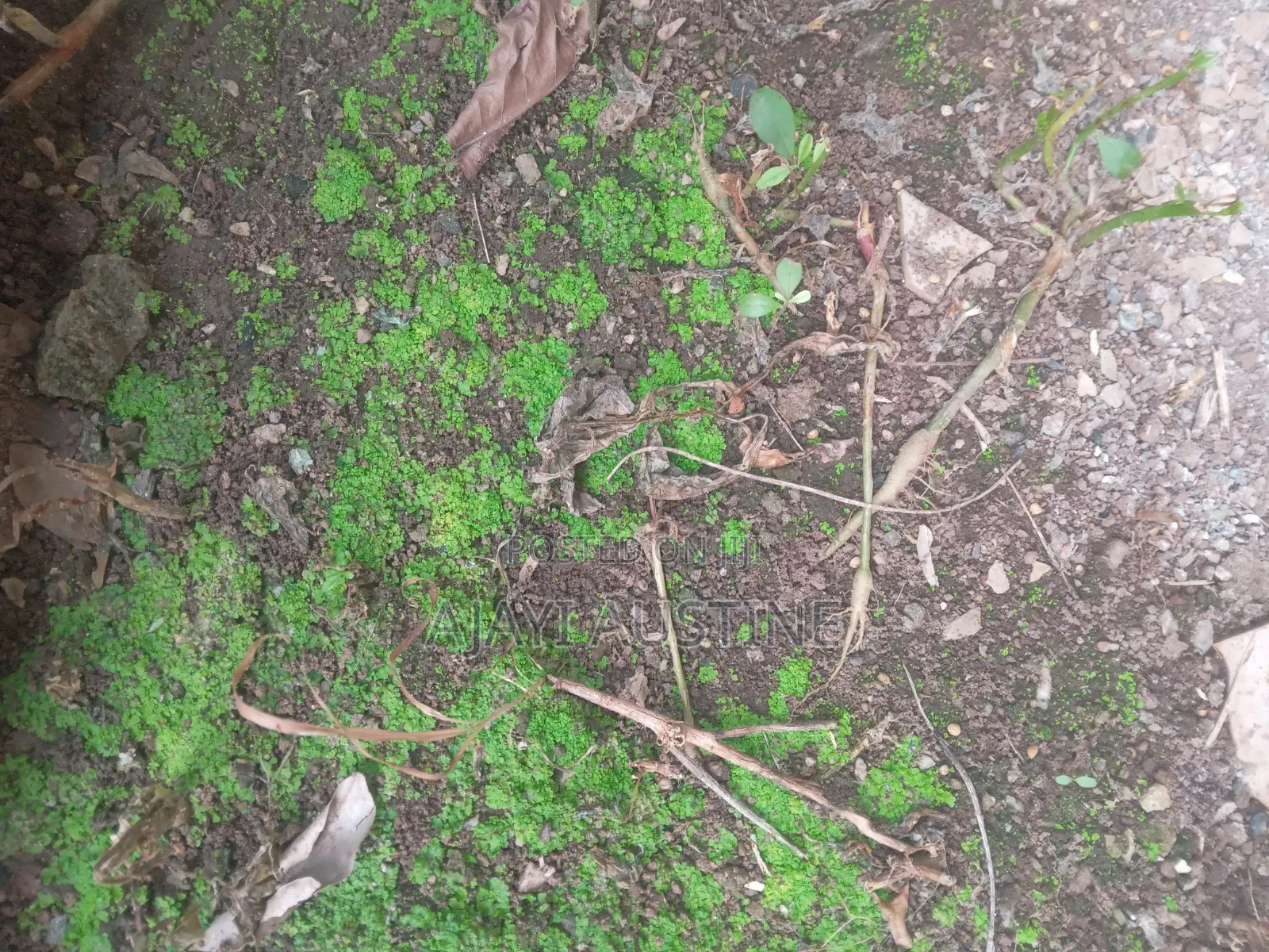 92 Hectares at Karasana West Abuja for Sale in Karsana