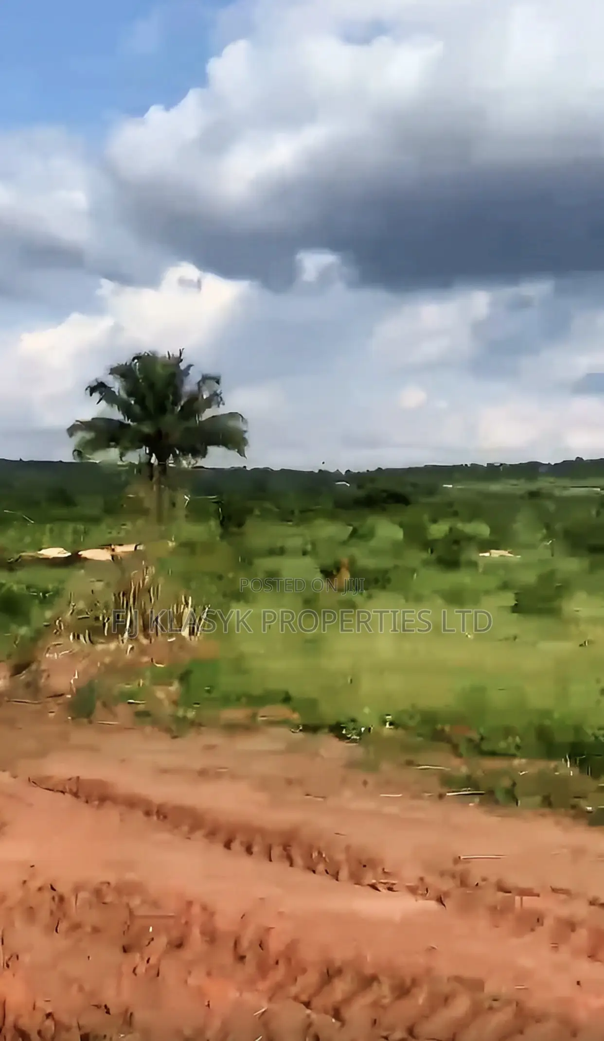 100 by 100ft Urgent Land for Sale in Edo State