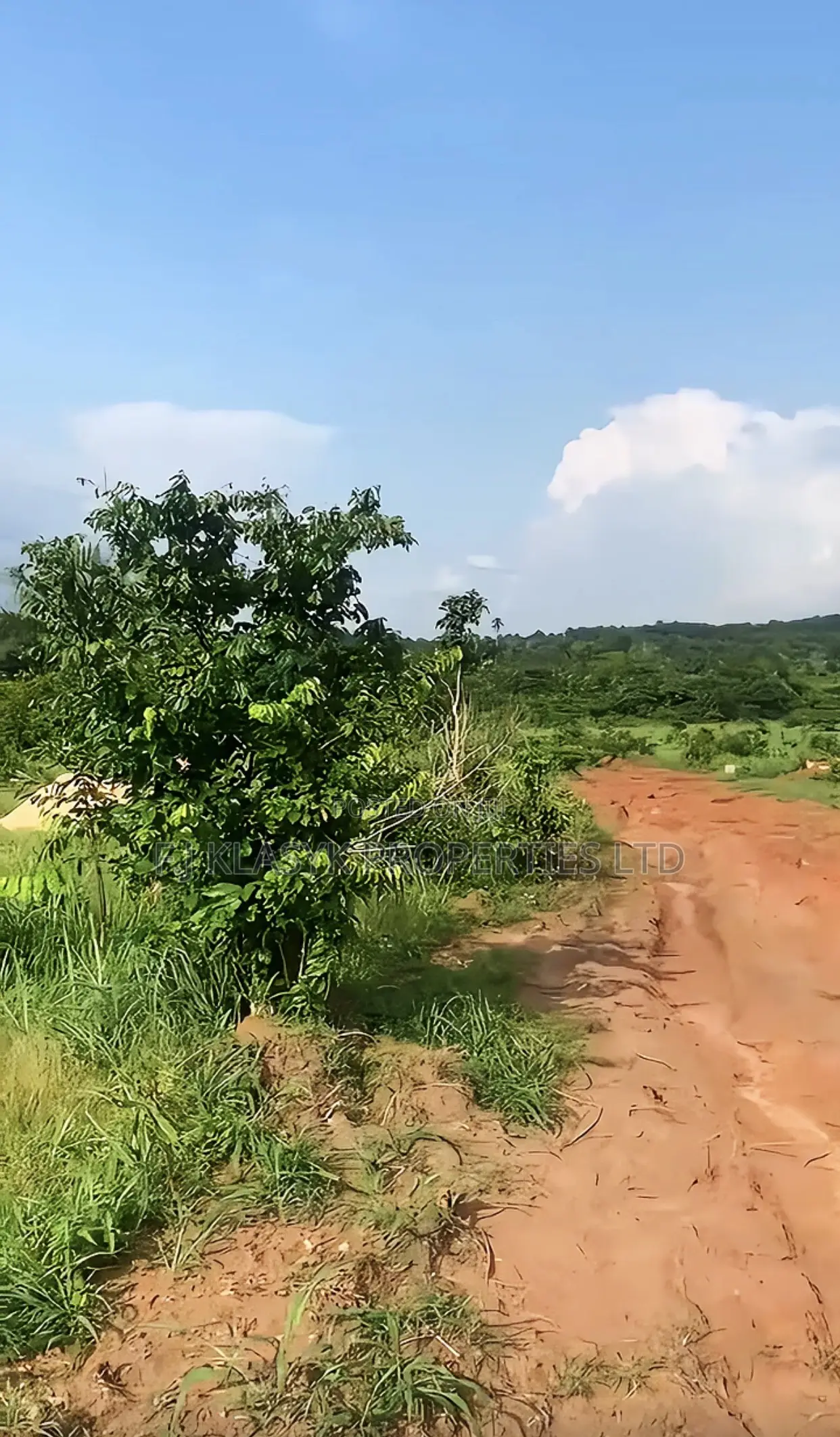 100 by 100ft Urgent Land for Sale in Edo State
