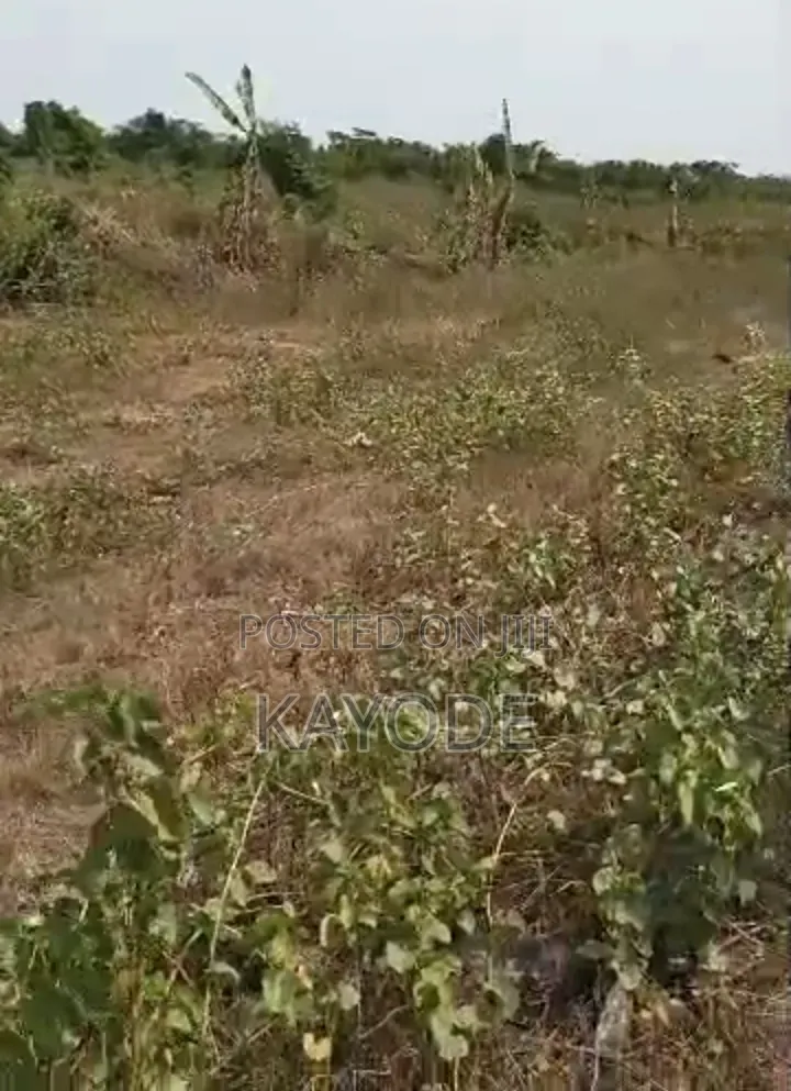 20 Acres of Land Along Lagos-Ibadan Expressway in Oluyole