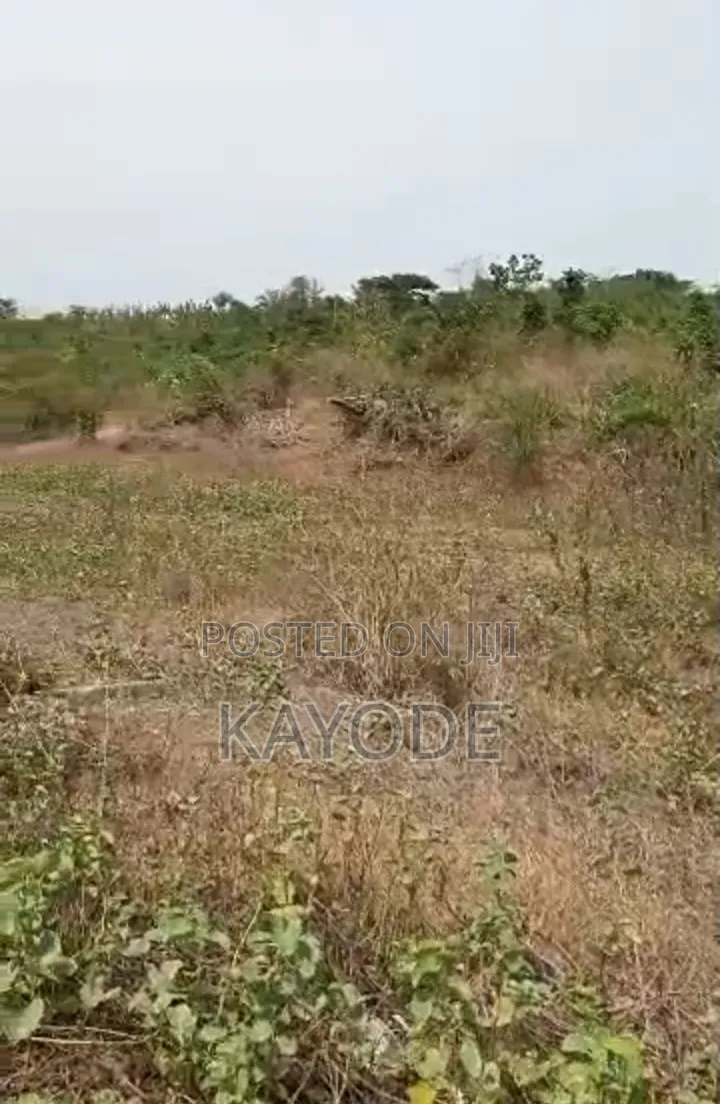 20 Acres of Land Along Lagos-Ibadan Expressway in Oluyole