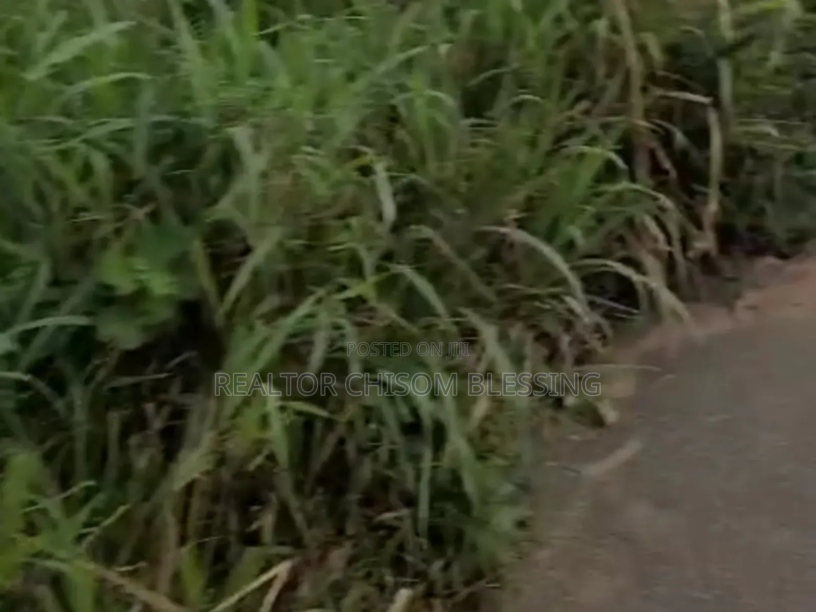 21⁄2 Plots for Sale at Ohiya Along the Express Rd, Umuahia Abia State in Umuahia