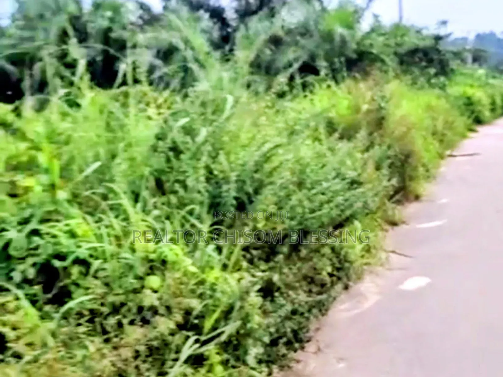 10 Plots for Sale at Ohiya Express Umuahia Abia State in Umuahia