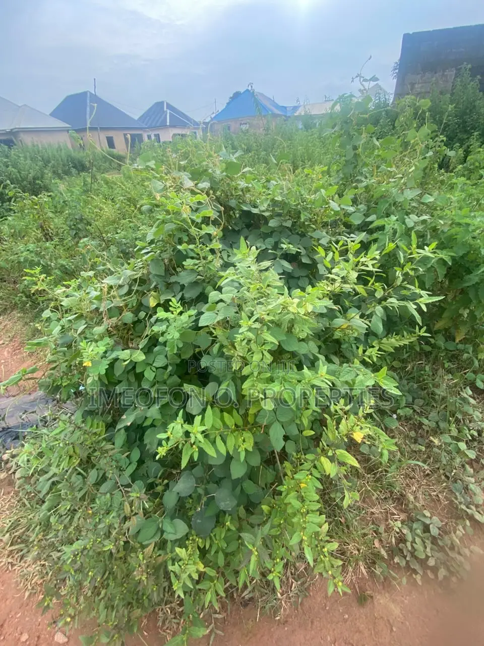 3.75 Hectares Land for Sale in Kagini Close to Kubwa Expressway in Kubwa