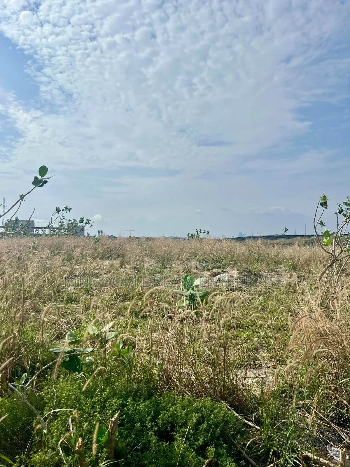 Premium Eko Atlantic Lands for Sale in Eko Atlantic