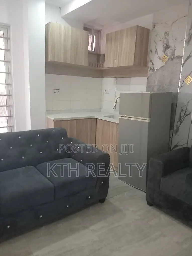 Furnished 1bdrm Apartment in Lekki Phase 1 for rent in Lekki Phase 1