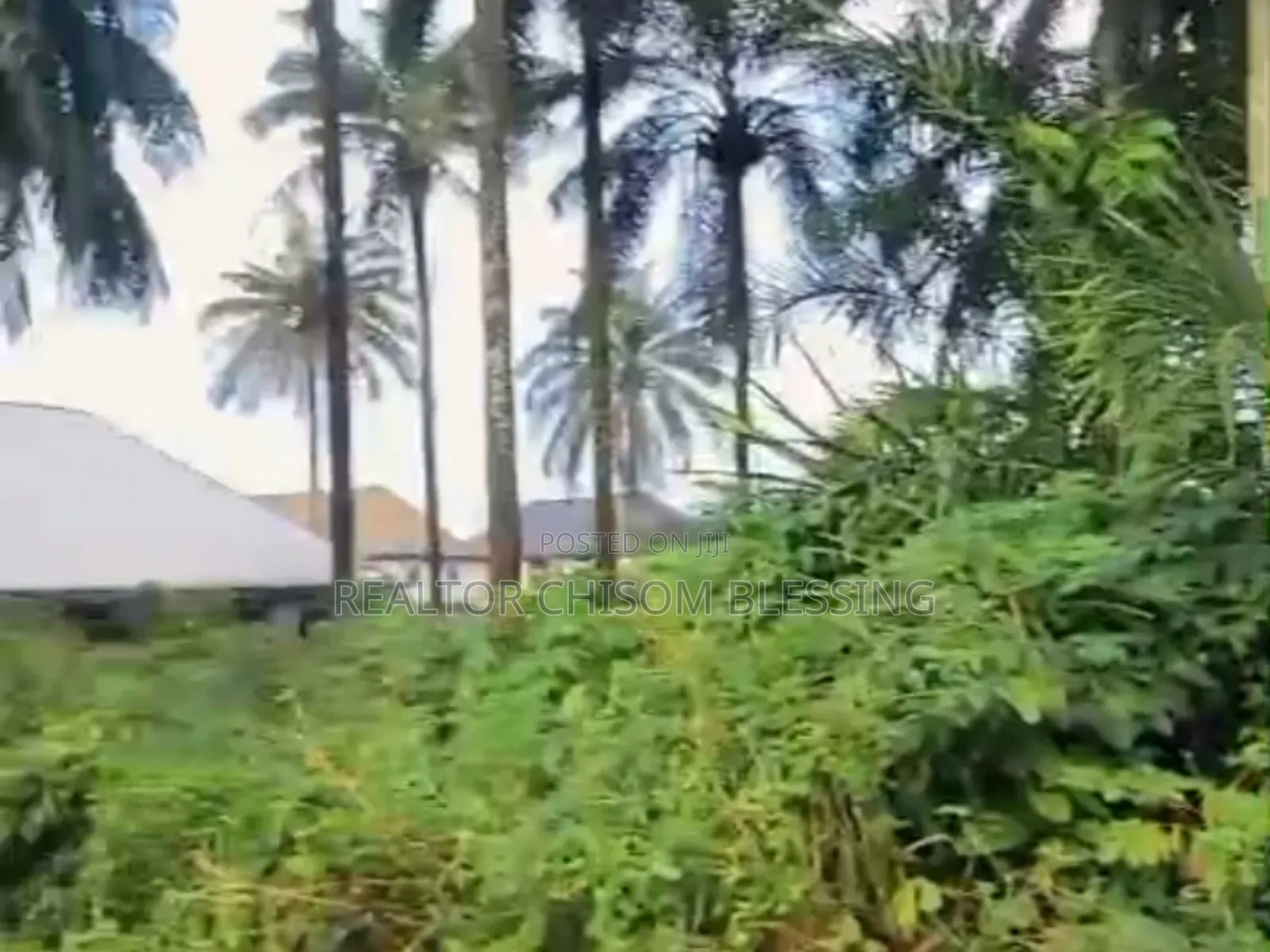 2 Full Plots for Sale Dozie Way Umuahia Abia State in Umuahia