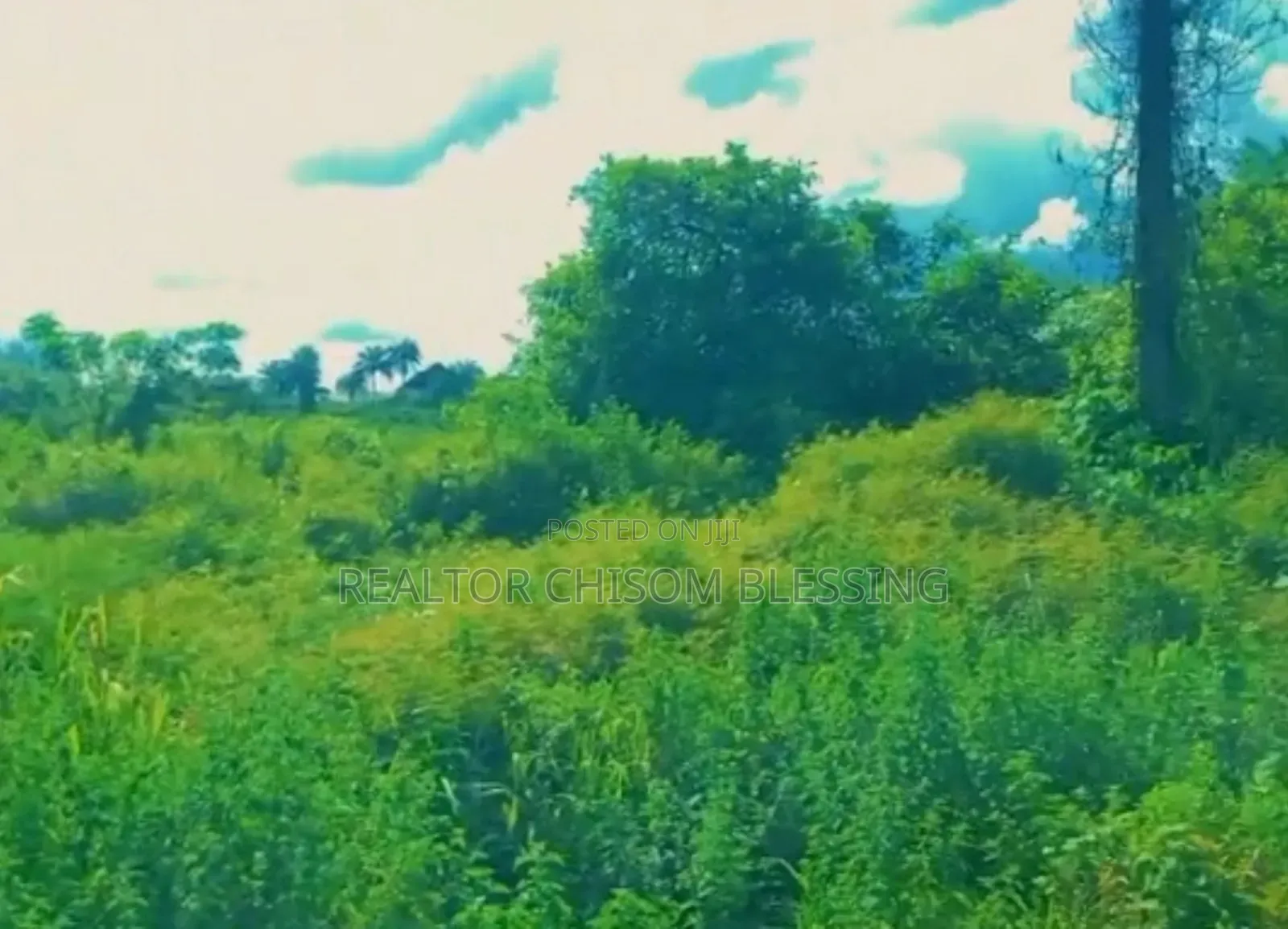 54 Plots of Land for Sale With CofO Along Umuahia/Enugu Express Road in Umuahia