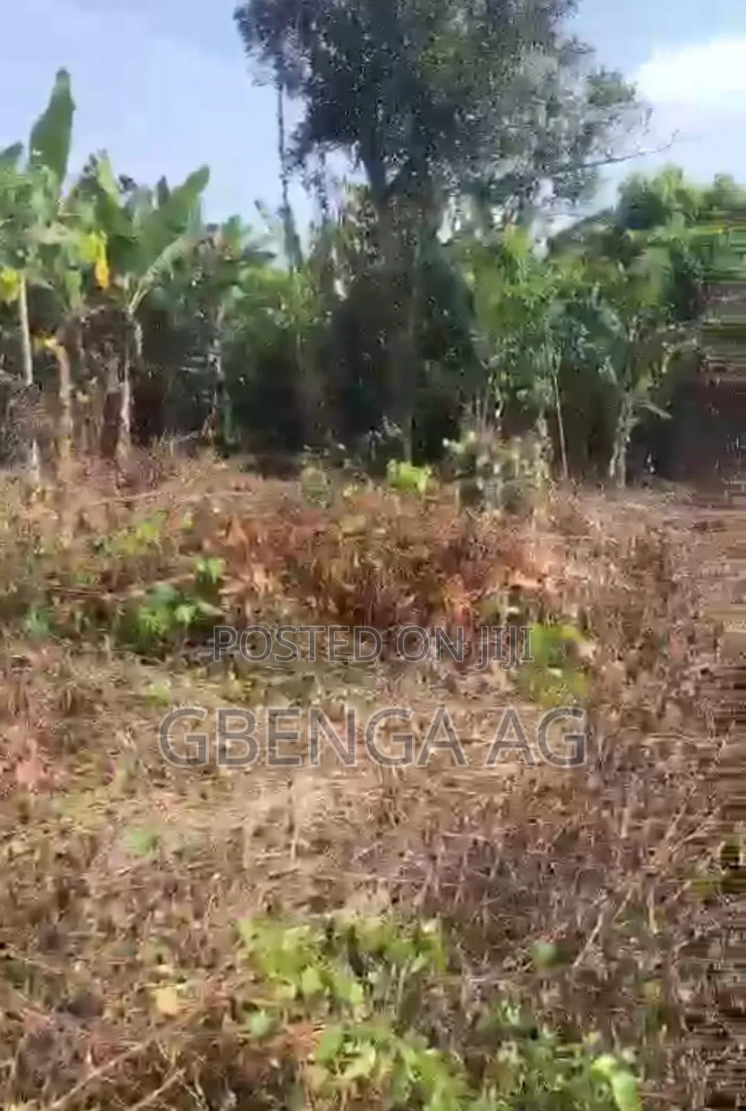 4 Plots of Land for Sale at Ibese Ilaro Ogun State in Ilaro