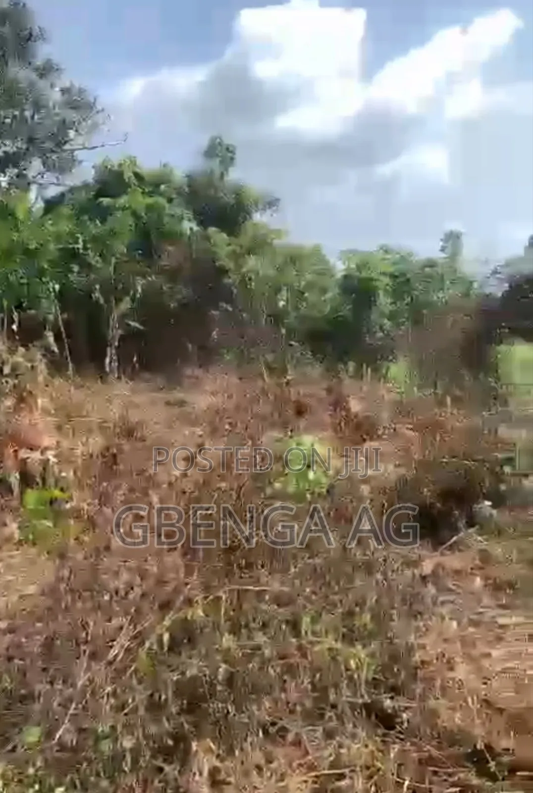 4 Plots of Land for Sale at Ibese Ilaro Ogun State in Ilaro