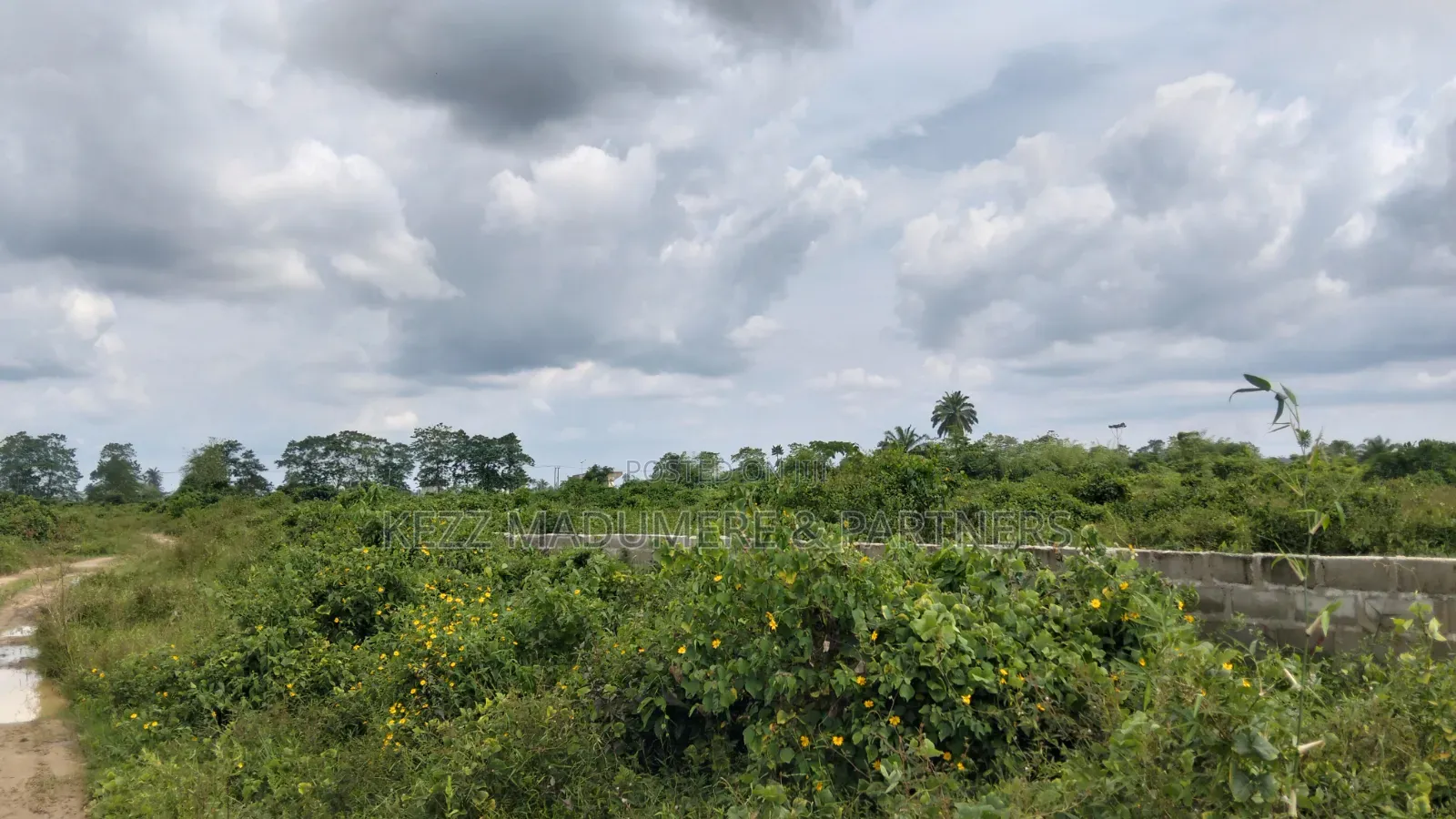 For Sale : 64 Plots at Igwuruta Roundabout , Ph, Rivers State in Ikwerre