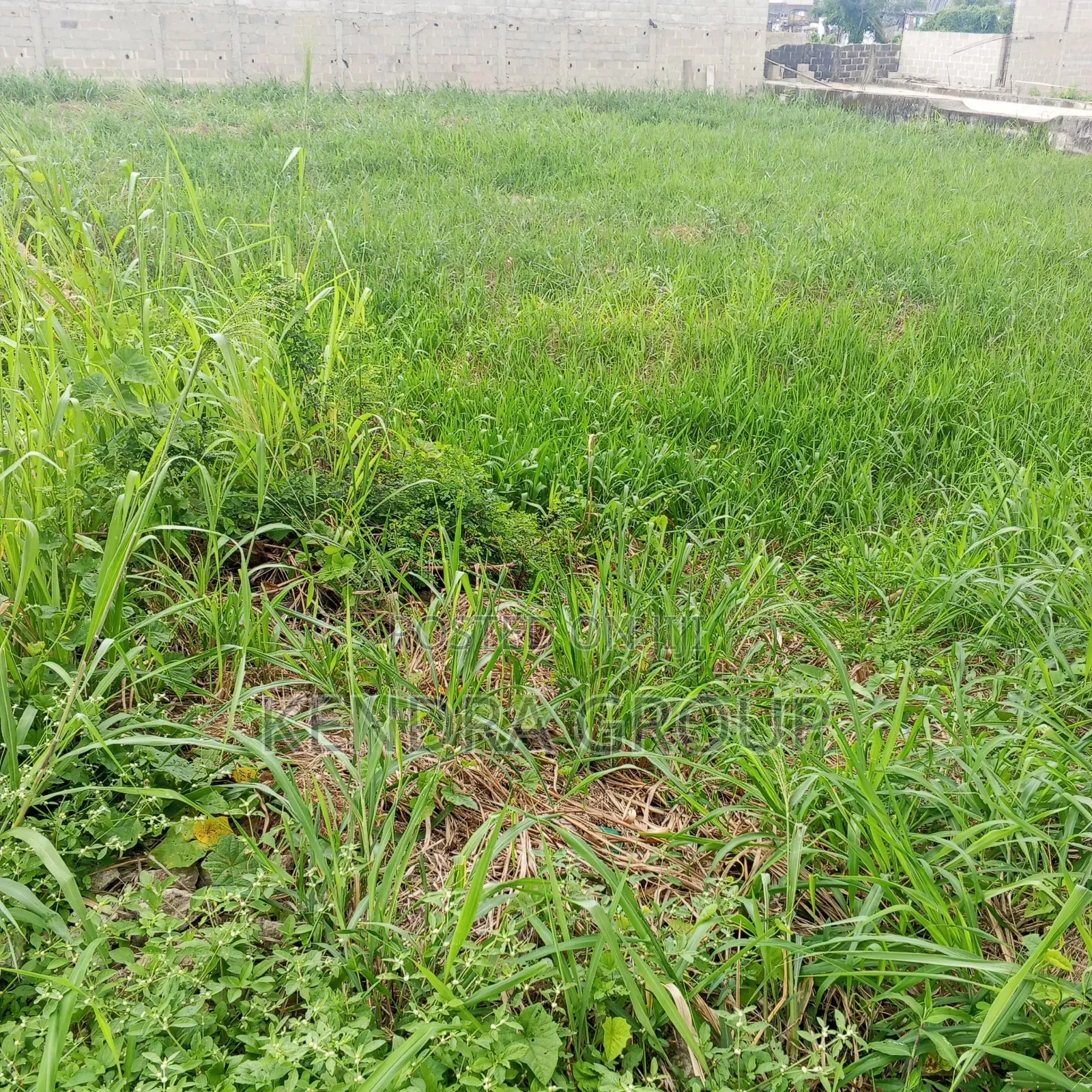 600sqm for Sale at Opebi, Ikeja in Opebi