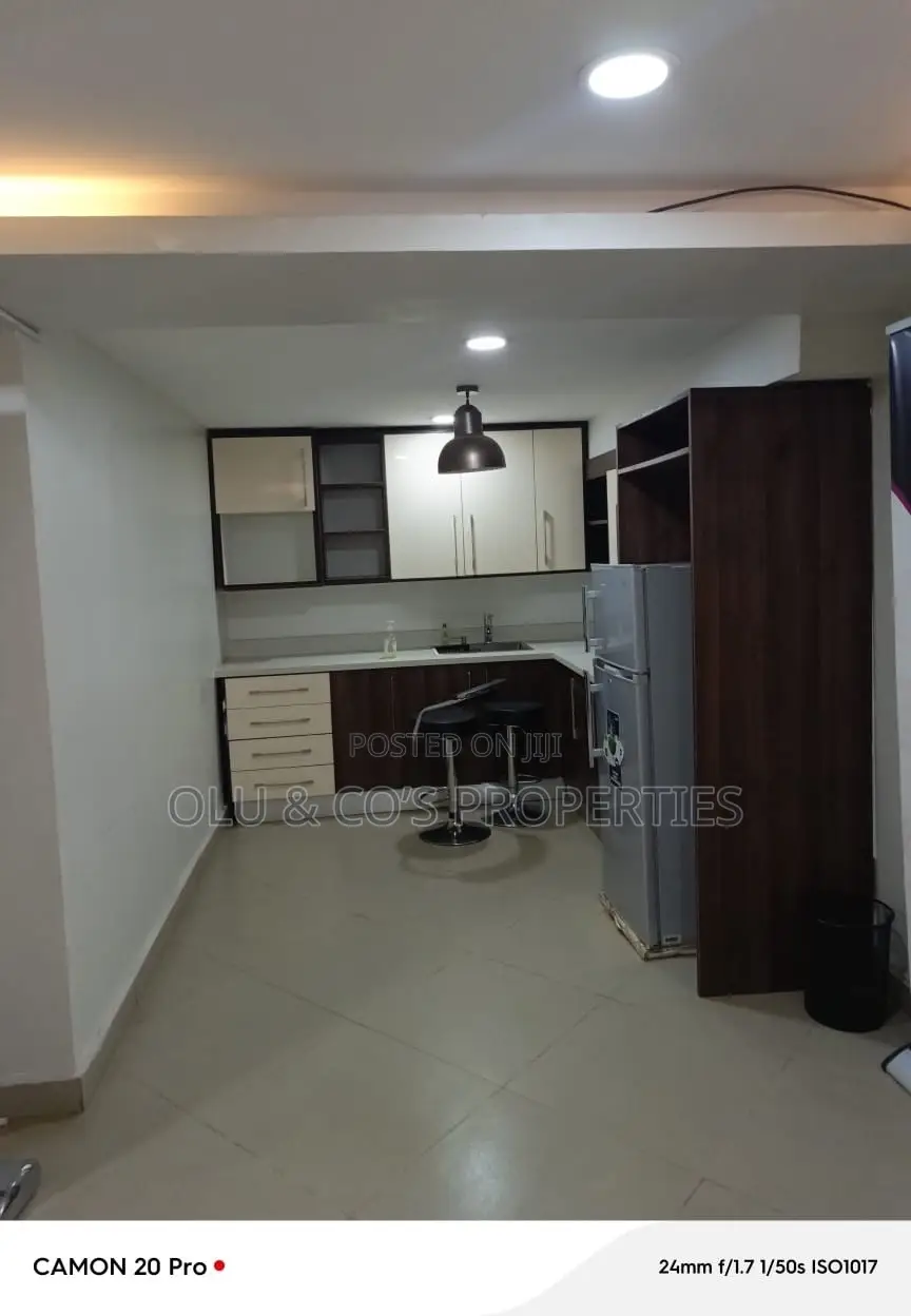 Fully Furnished Office in Central Business District