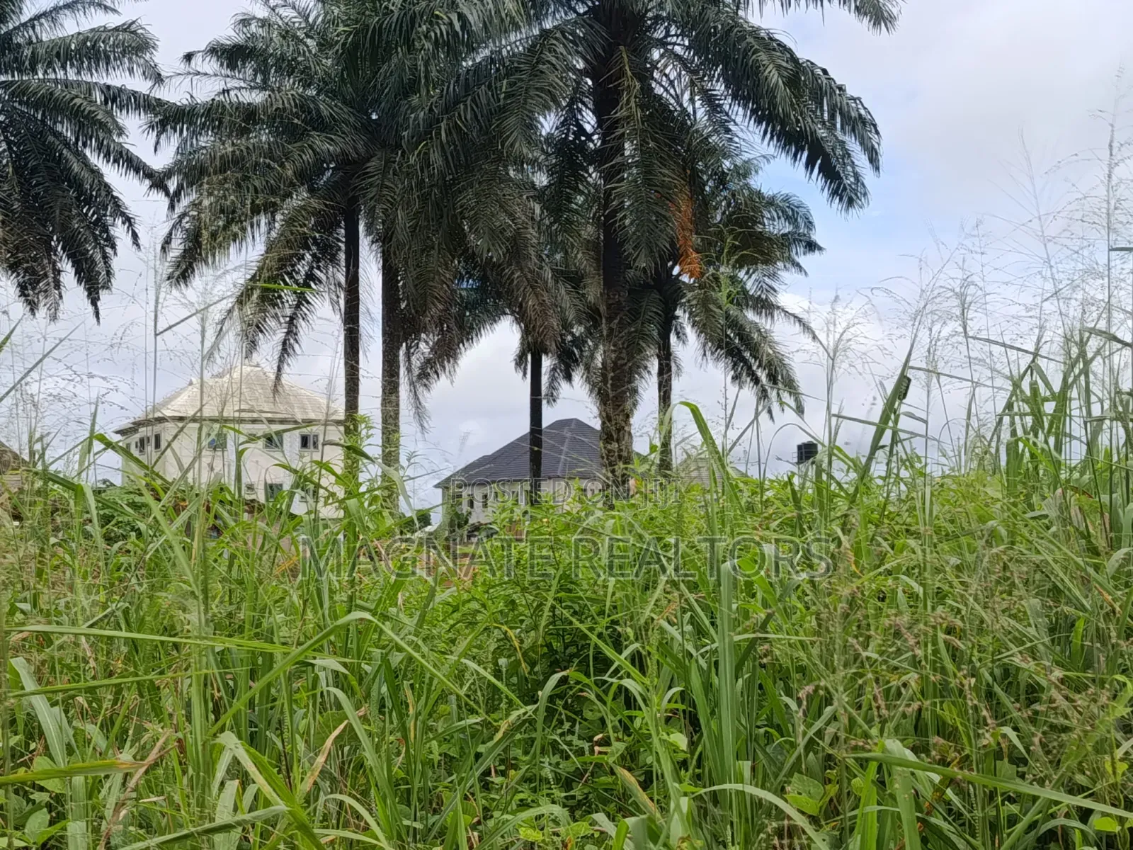 Land for Sale at Akpasima Estate in Uyo