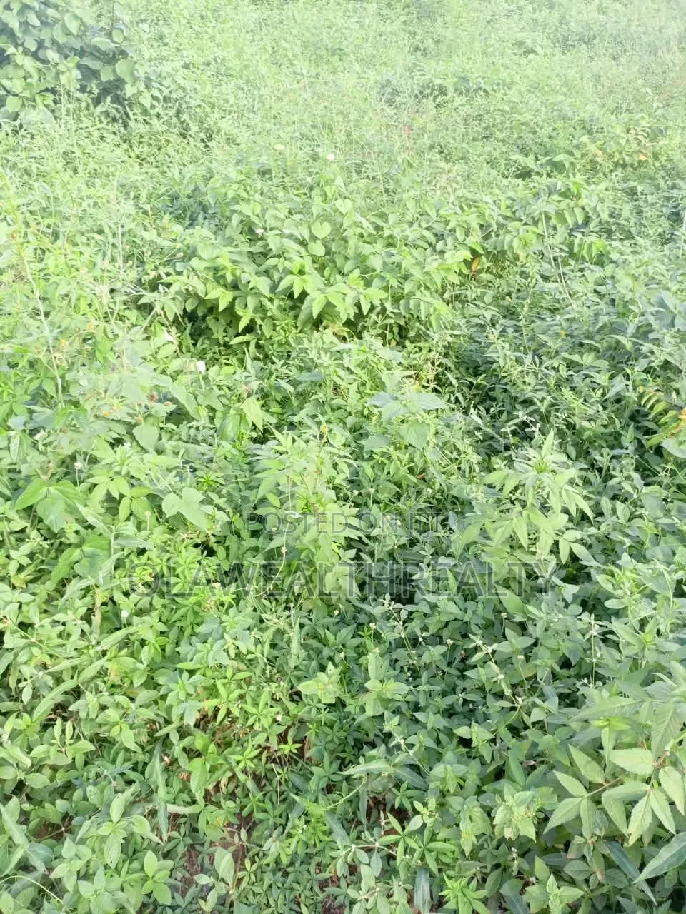 500sqm Residential Land at Wuye in Wuye