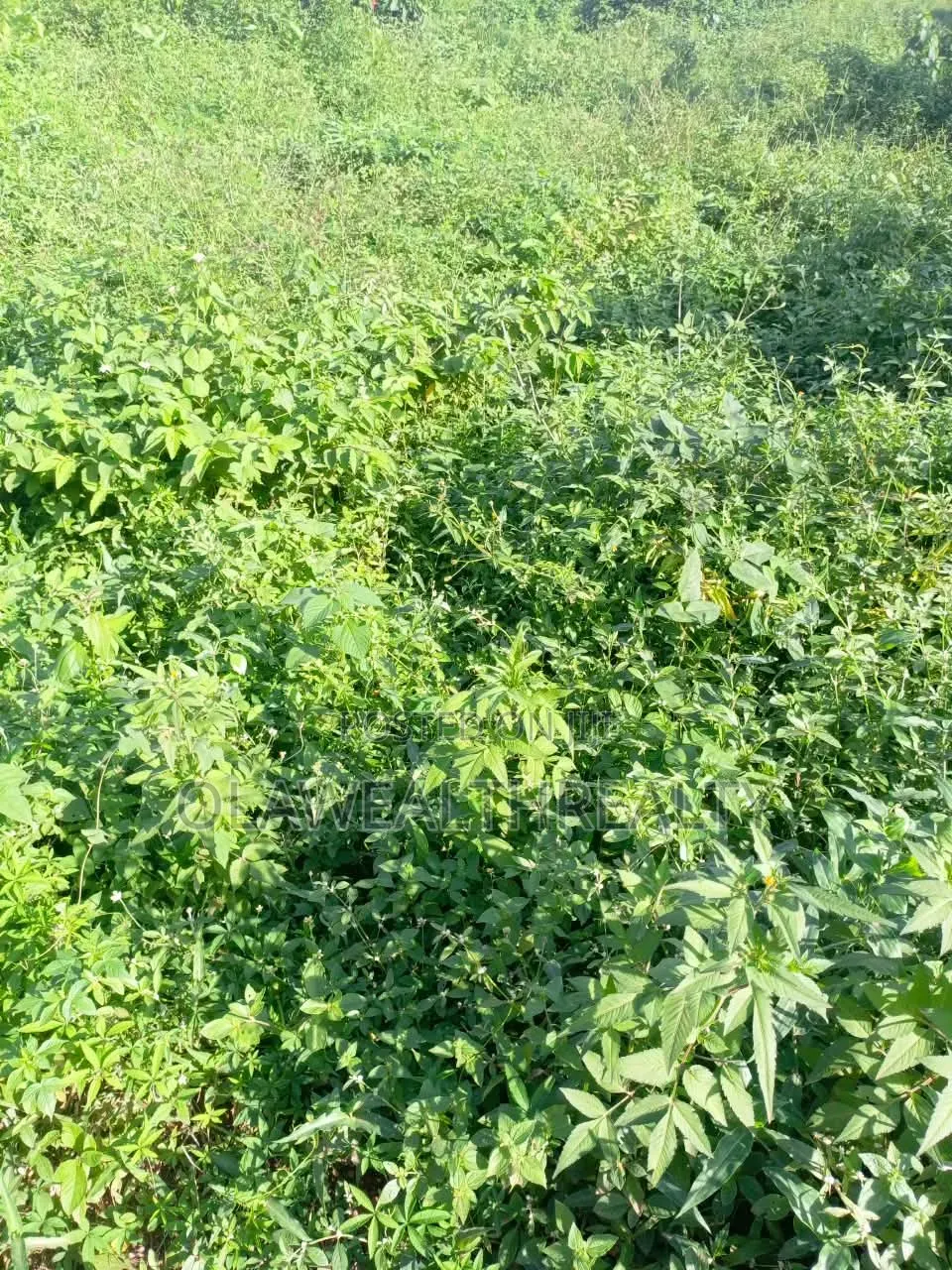500sqm Residential Land at Wuye in Wuye