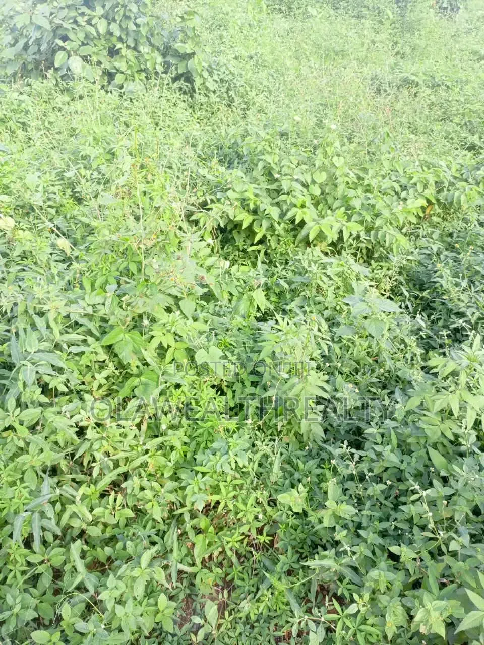 1,672sqm Residential Land at Katampe Extension in Katampe Extension