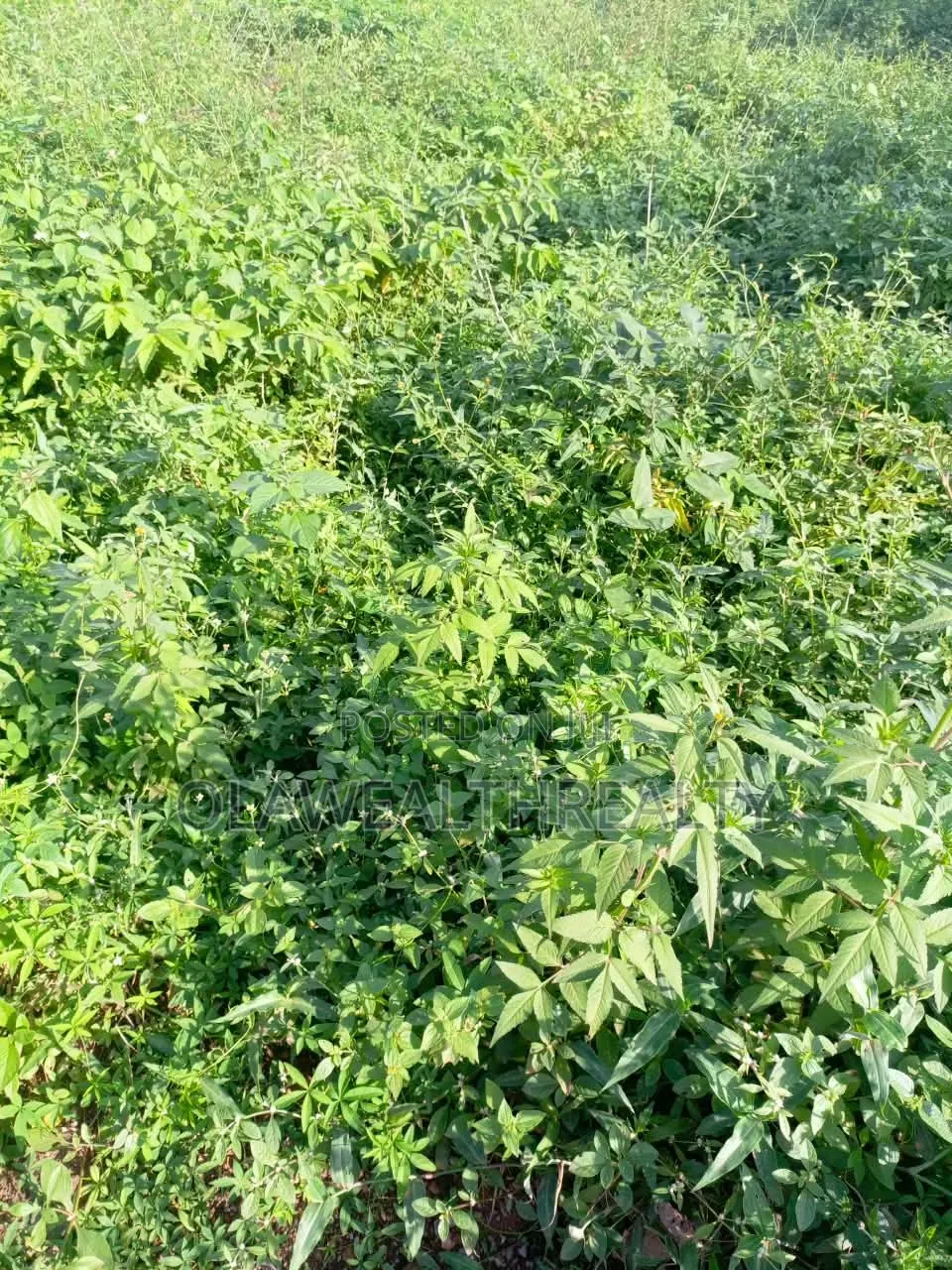 4.43 Hectares Mixed-Use Land at Dawaki in Dawaki