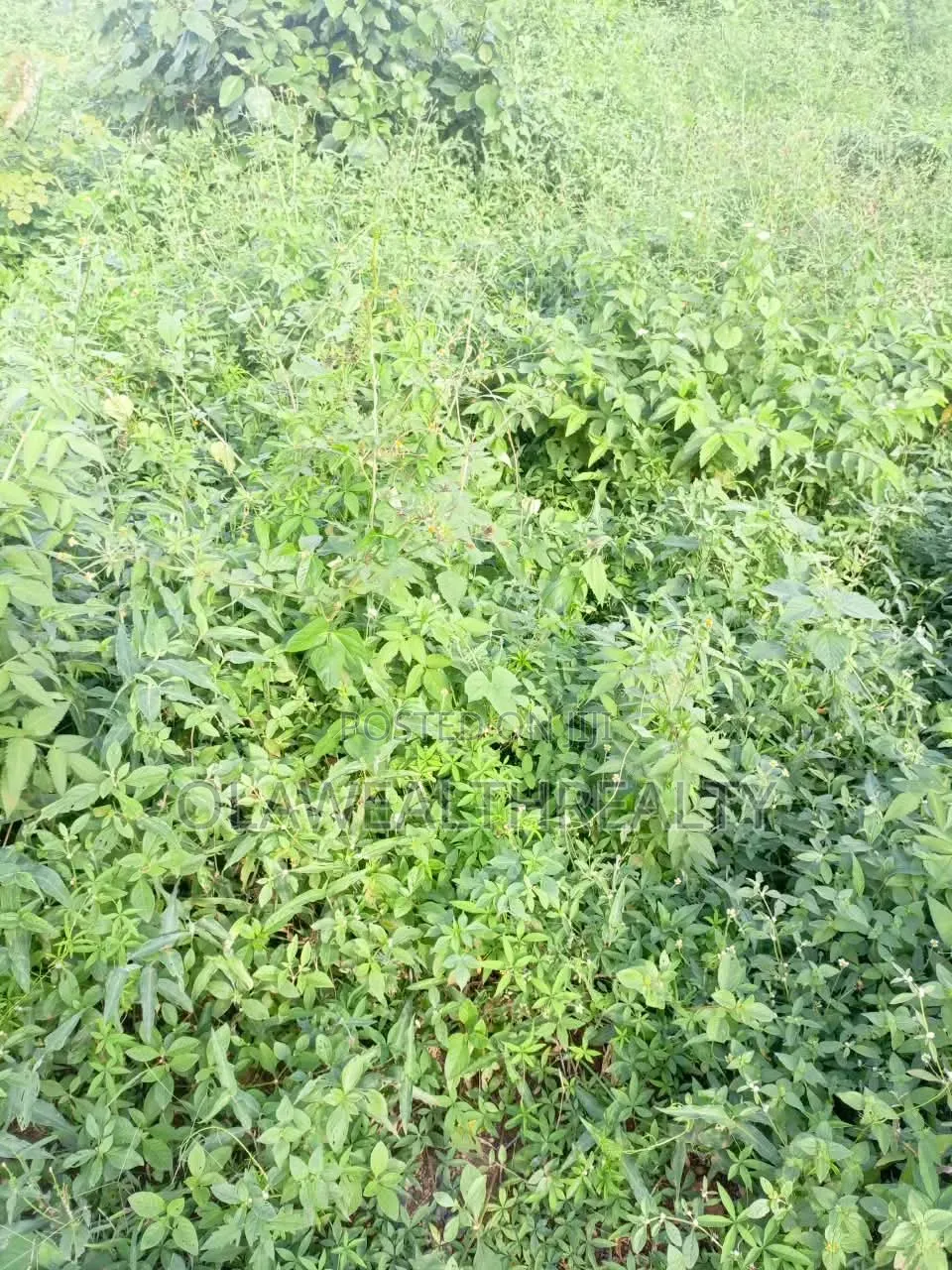 4.43 Hectares Mixed-Use Land at Dawaki in Dawaki