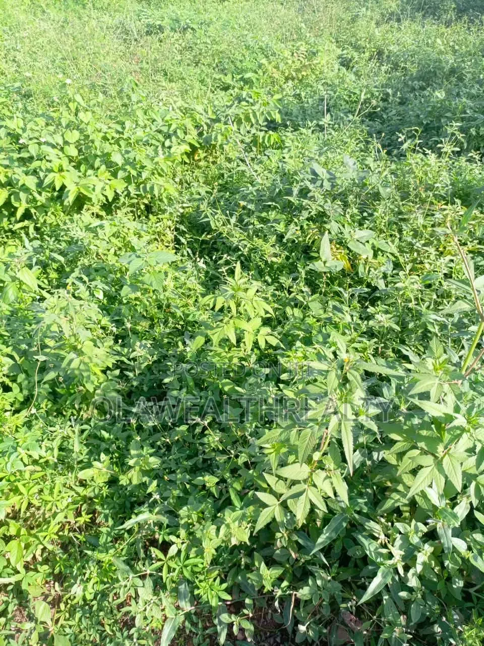 650sqm Estate Plot at Galadimawa in Galadimawa