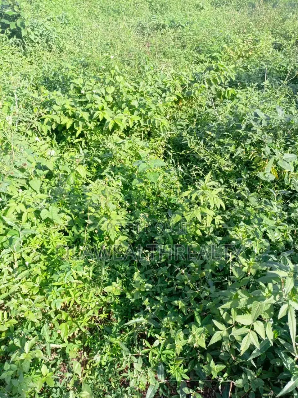 3,000sqm Filling Station Land at Garki in Galadimawa