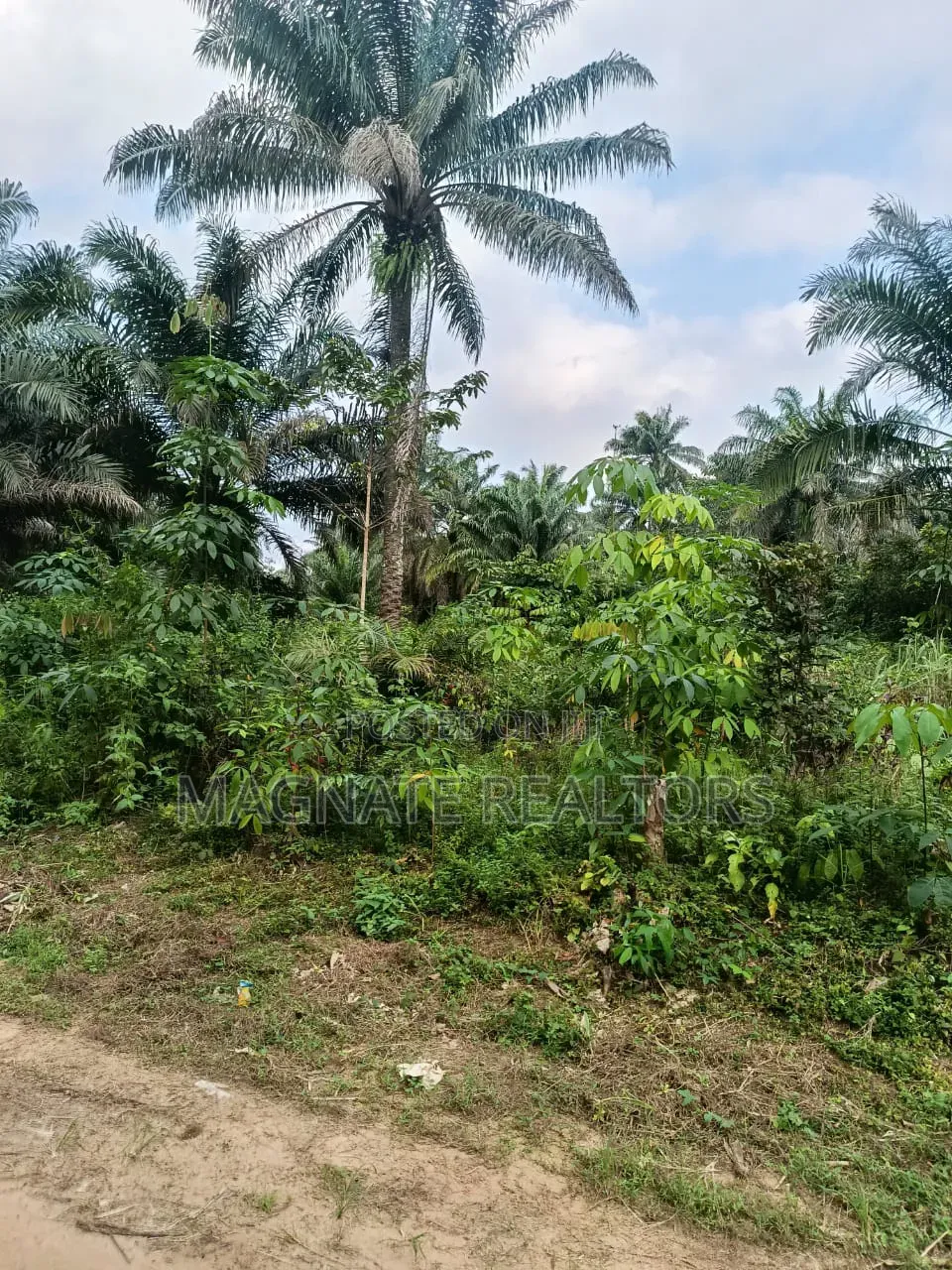 5196sqms Land for Sale in Uyo