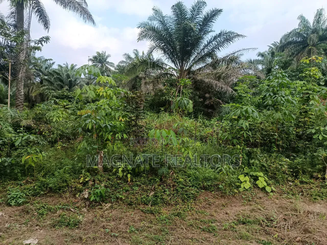 5196sqms Land for Sale in Uyo
