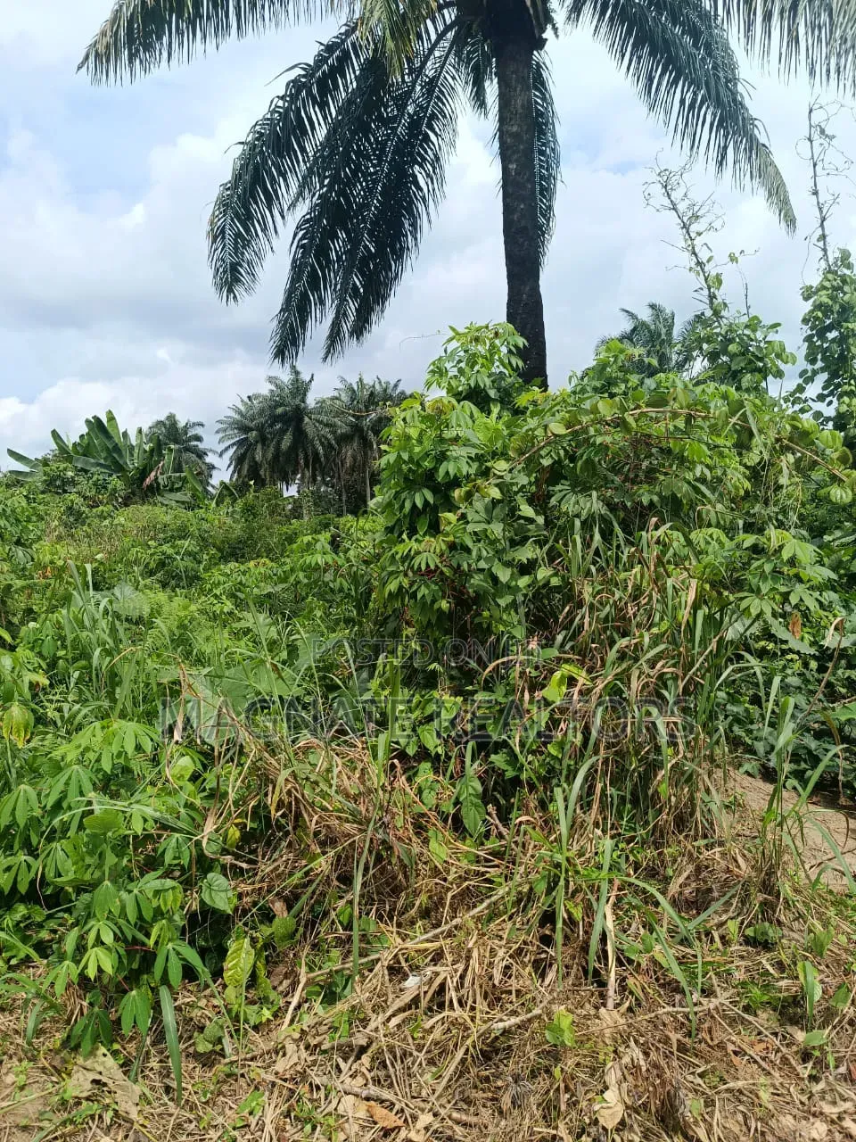 771sqms Land for Sale at Nung Ette in Uyo