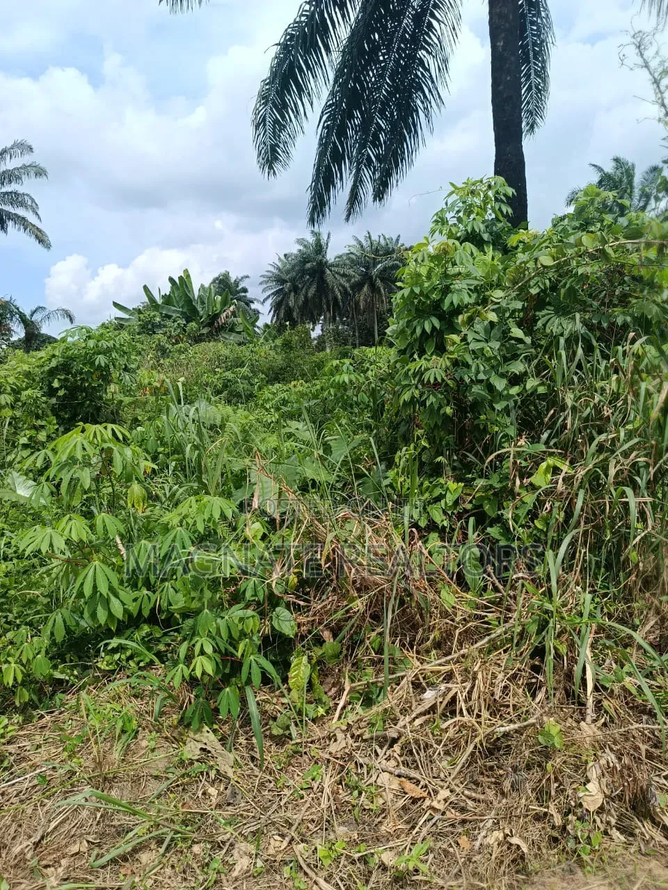 771sqms Land for Sale at Nung Ette in Uyo