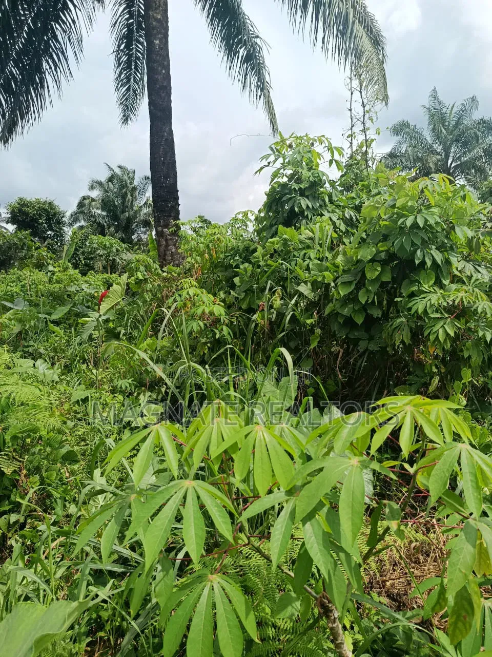 771sqms Land for Sale at Nung Ette in Uyo