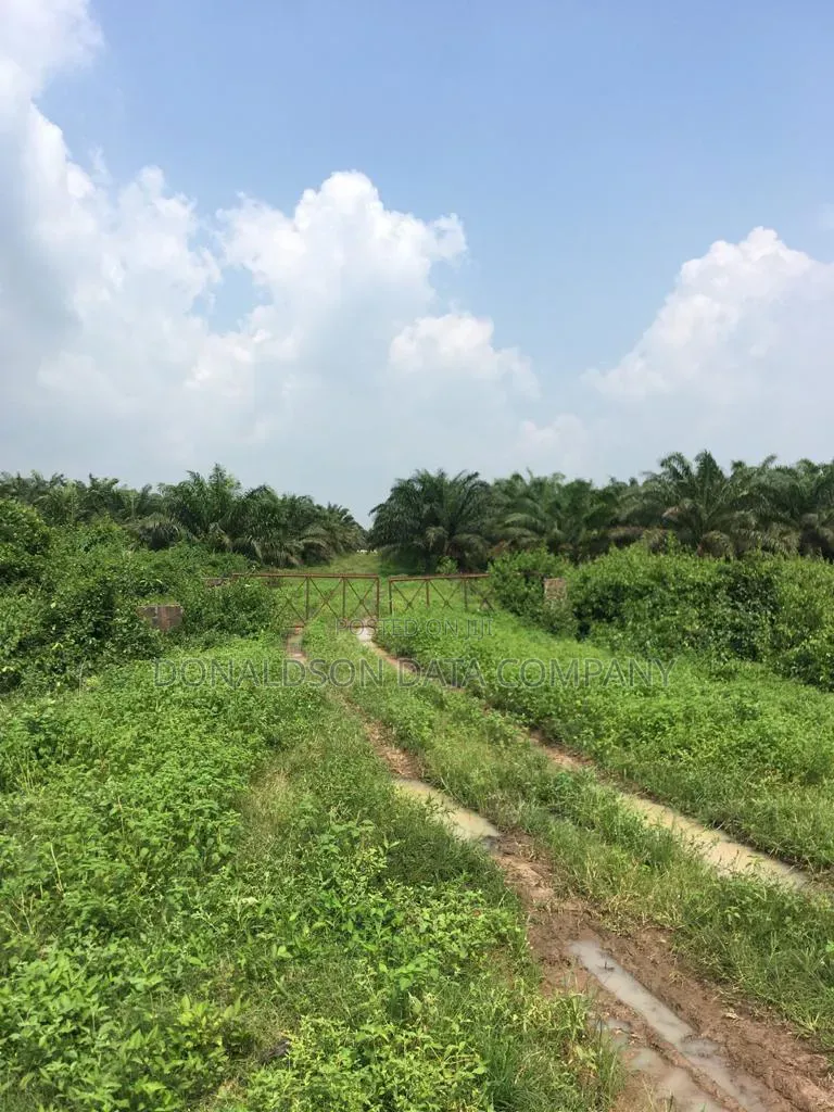45 Acres of Land Per Plot 4M in Igando-Oloja