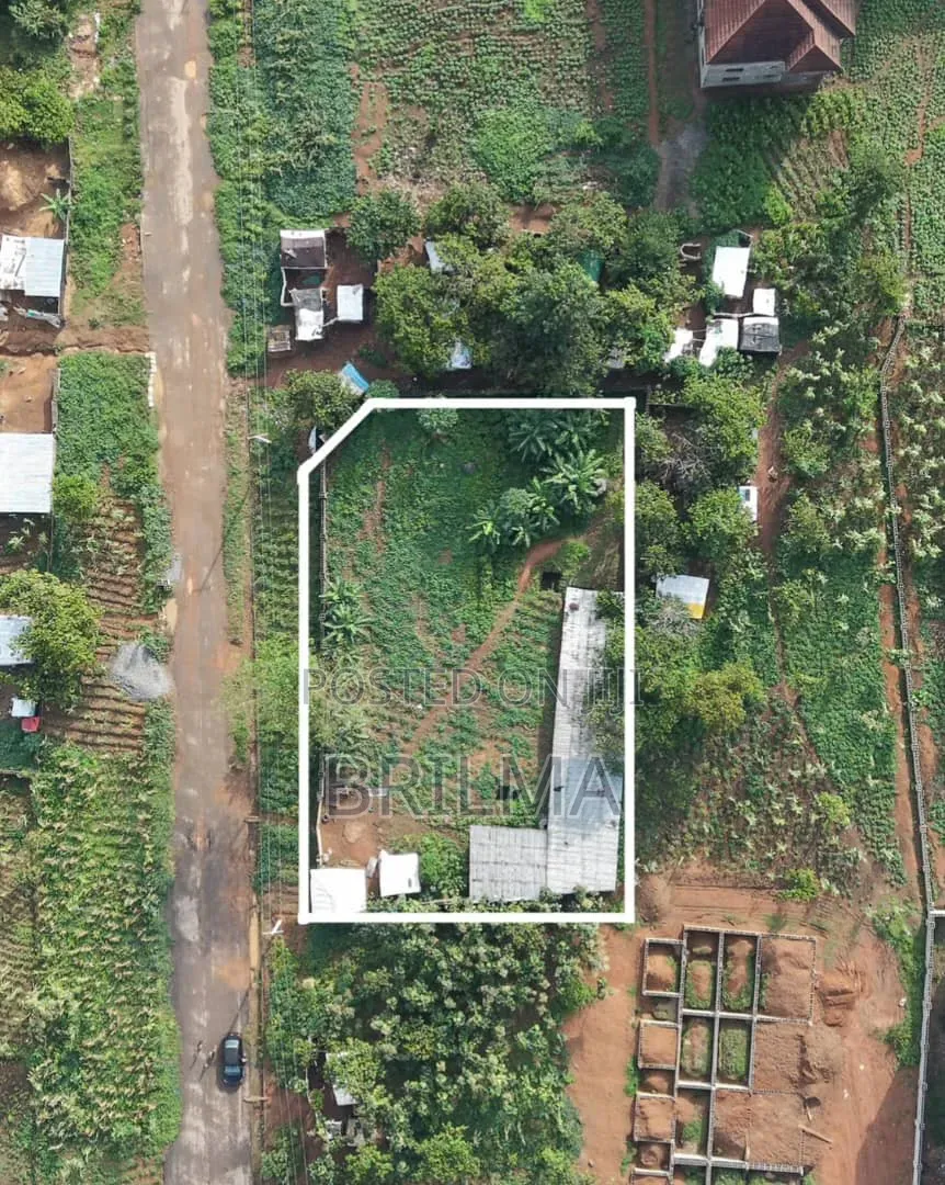 1390Sqm Residential Land in Kaura for Sale in Kaura