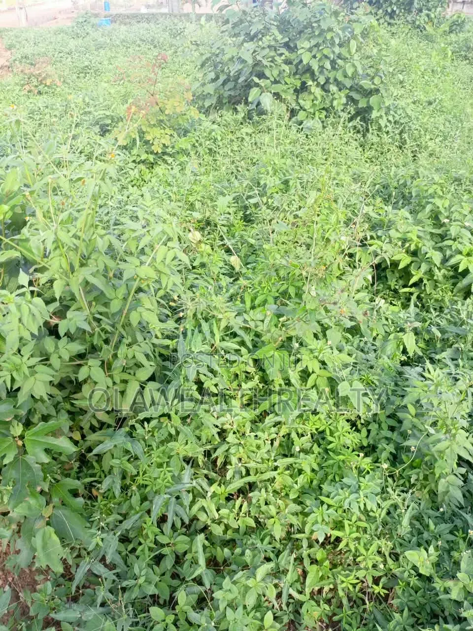 1,089sqm Residential Land at Park Manor in Samonda