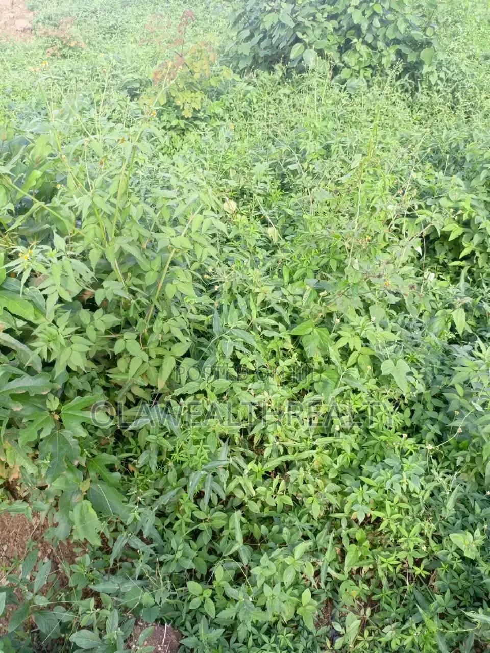 1,707sqm Residential Land at Guzape Main (DISTRESS SALE) in Guzape District