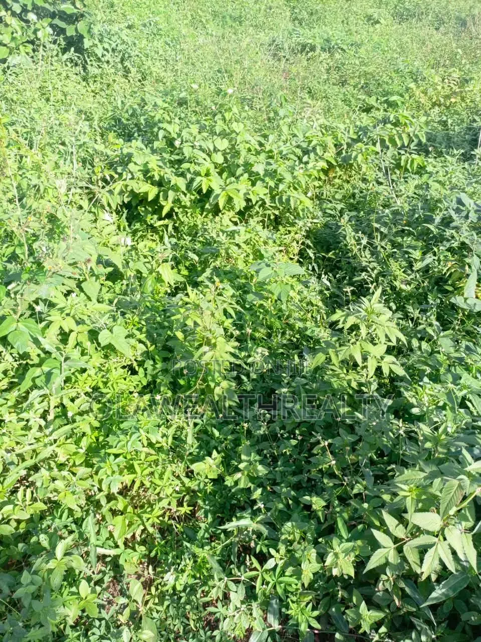 1,707sqm Residential Land at Guzape Main (DISTRESS SALE) in Guzape District
