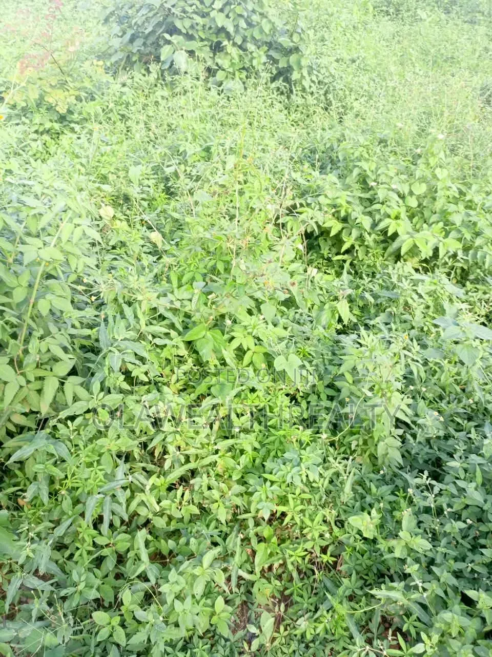 5.13Hectares Mixed-Use Land at Kagini in Guzape District