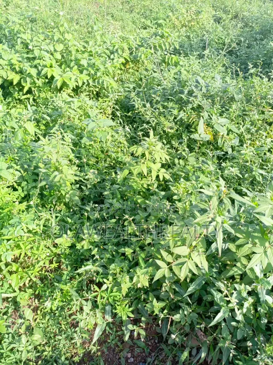 5.13Hectares Mixed-Use Land at Kagini in Guzape District