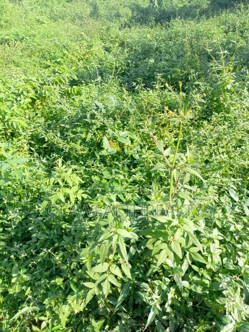 1,401sqm Residential Land at Guzape Main in Guzape District