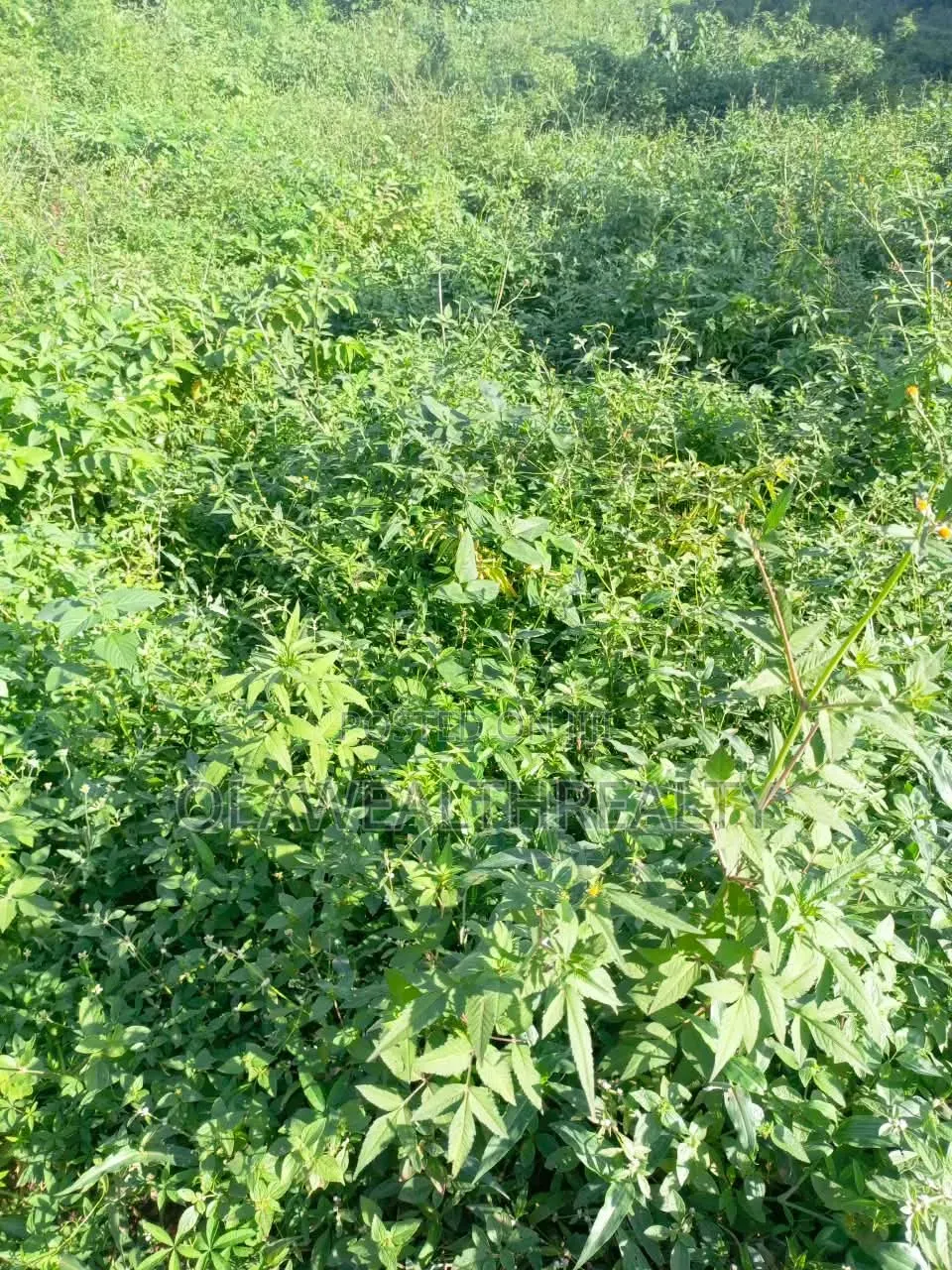 1,401sqm Residential Land at Guzape Main in Guzape District