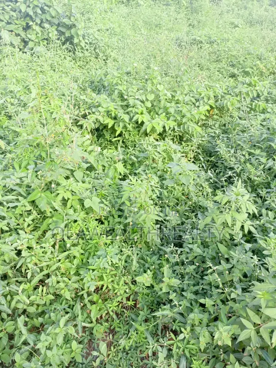 1,449sqm Residential Land at Asokoro Main in Asokoro
