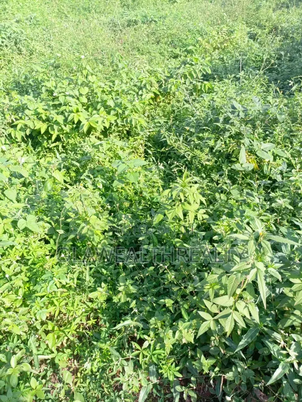 1,449sqm Residential Land at Asokoro Main in Asokoro