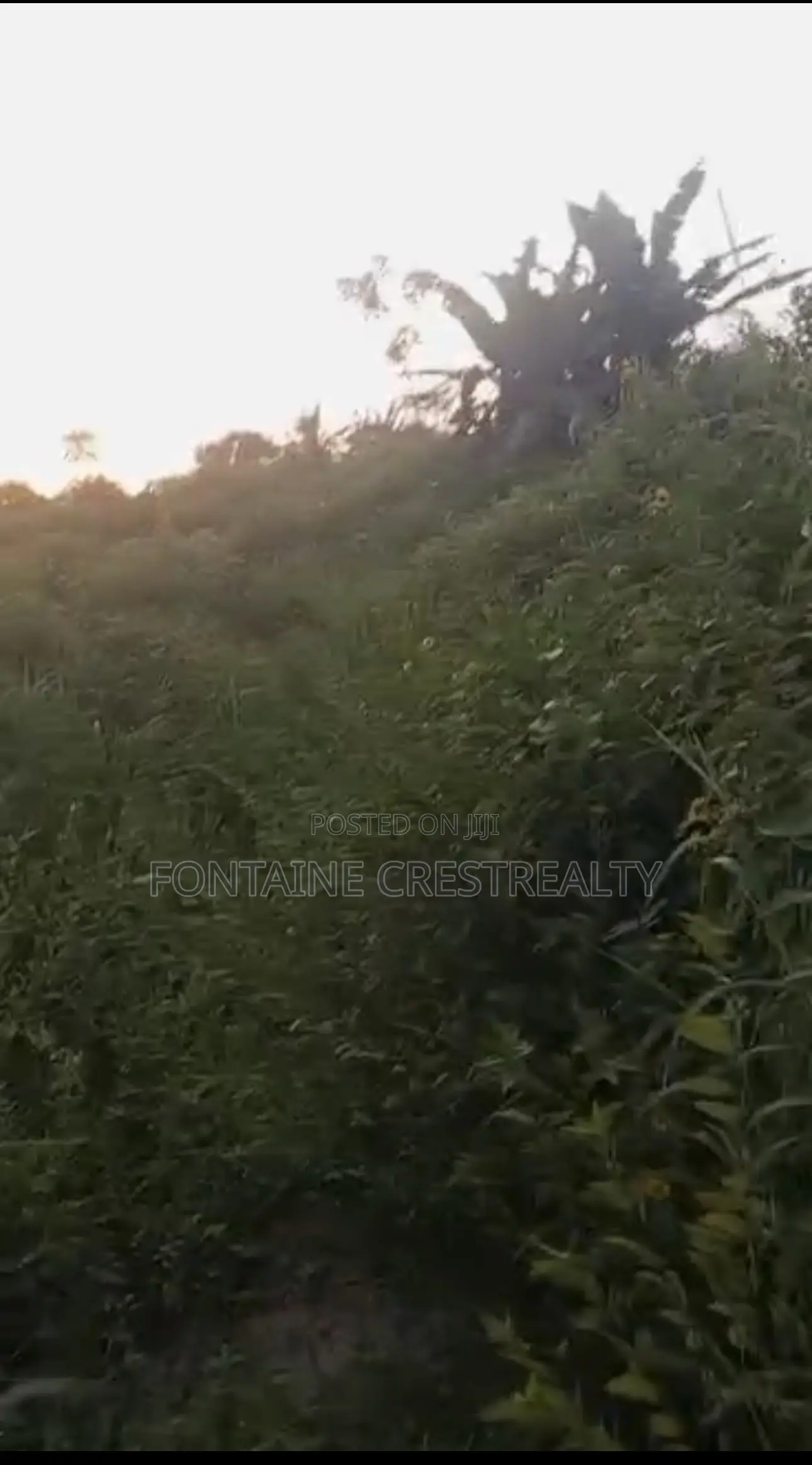 Urgent Sale: 50x100ft Plot in Orior Community, Benin City (₦2.5M) in Benin City