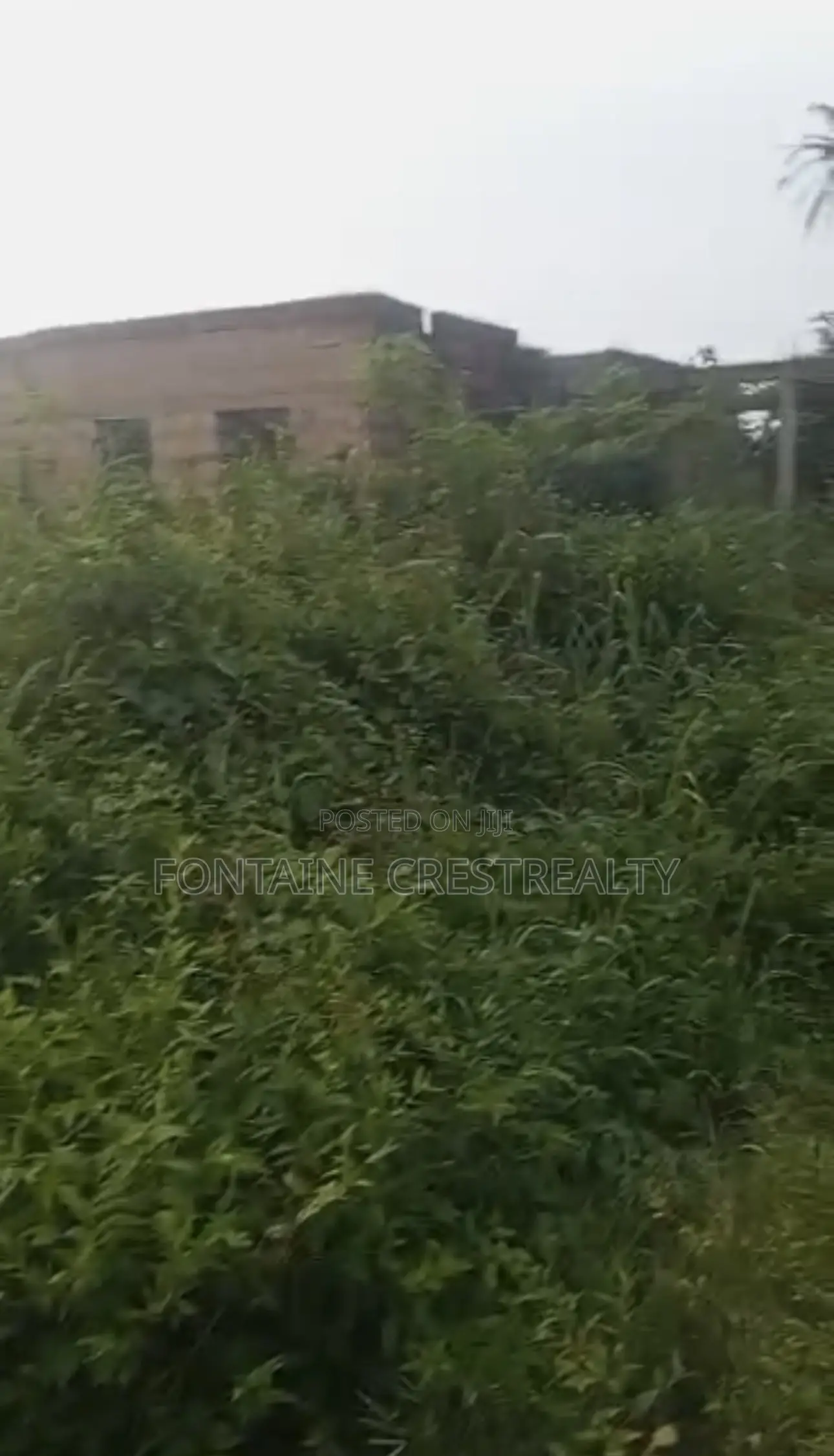 Urgent Sale: 50x100ft Plot in Orior Community, Benin City (₦2.5M) in Benin City