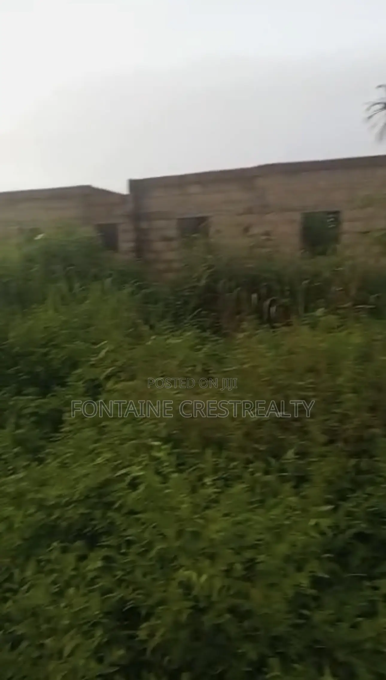 Urgent Sale: 50x100ft Plot in Orior Community, Benin City (₦2.5M) in Benin City
