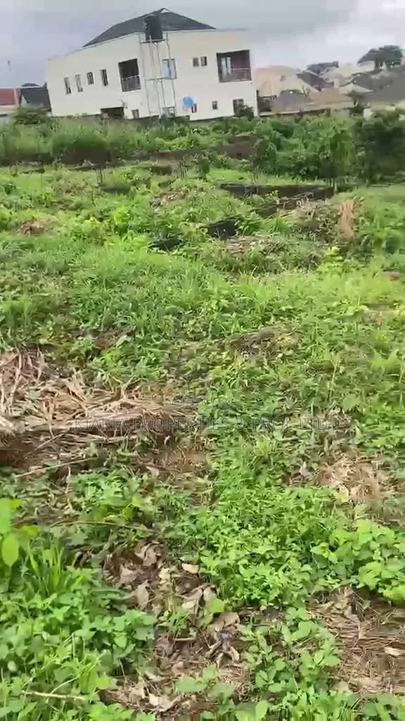 2 & Half Plot at Wisdom, Akobo in Akobo