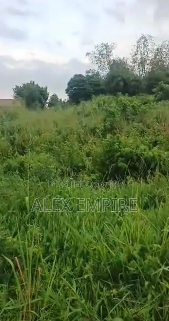Land for Sale in Prayer City in Festac