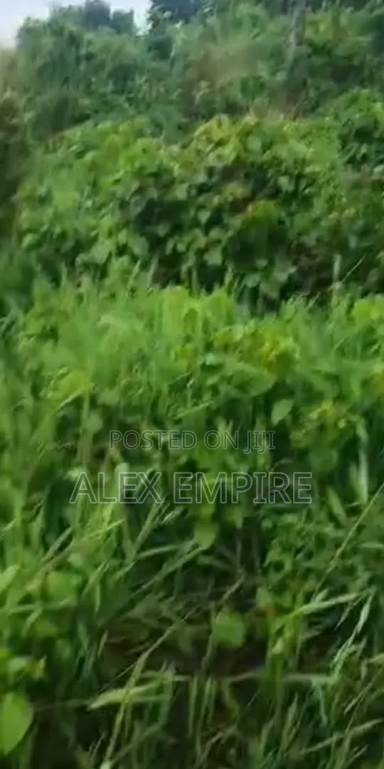 Land for Sale in Prayer City in Festac