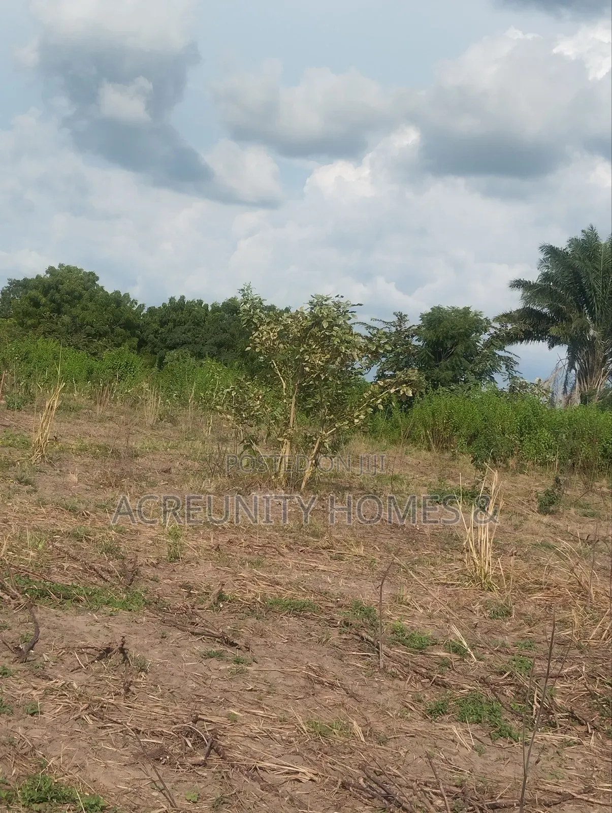 500 Acres of Farmland for Sale at Igbo Tapa, Igboora, Oyo State in Igbo Ora